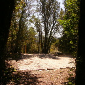 P1230922